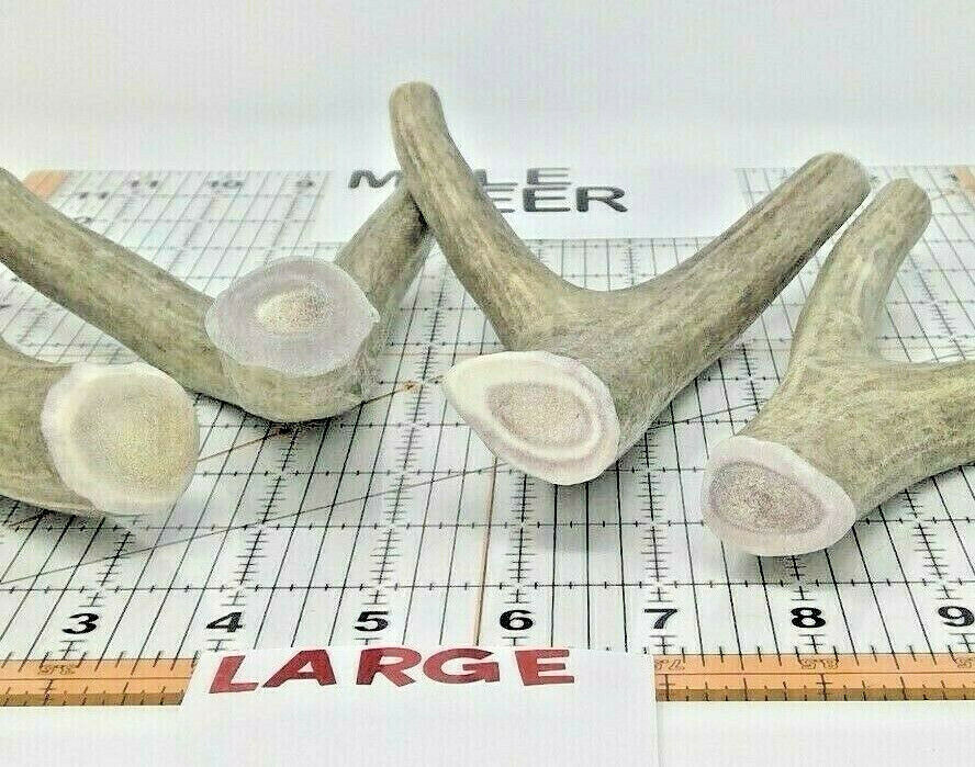 Real Organic Whole Mule Deer Antler For Dog Chew Toy & Treat Small Medium Large