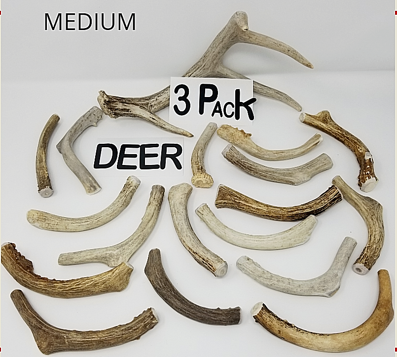 Whole Real Shed Deer Antler Dog Bone Chews Treat Toy Small Medium Large Xl Lot